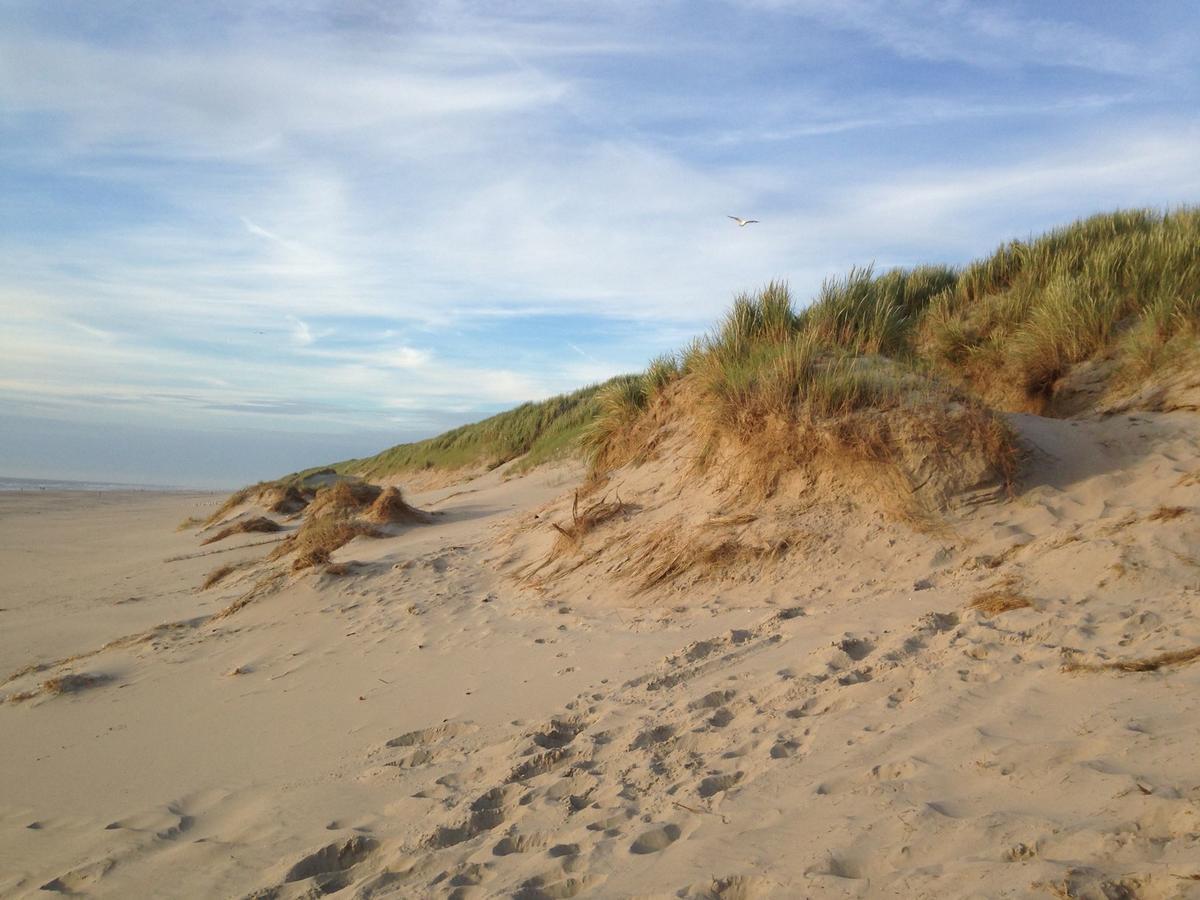Beachhouses Texel Де-Коог Экстерьер фото